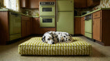 Avocado Kitchen