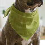 Interlock in Avocado — interlock print, in avocado and chartreuse green