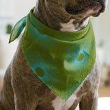 Retro Sunburst in Green and Teal — retro sunburst print, in deep forest green shading into bright teal