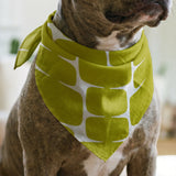 Atomic Bricks, Avocado Fabric