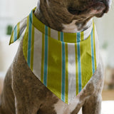 Mod Stripes, Chartreuse Fabric