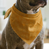 Interlock in Burnt Orange — interlock print, in deep, warm burnt orange