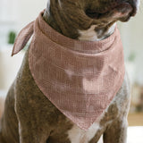Interlock in Petal — interlock print, in soft peach and blush