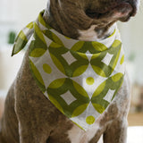 Mod Montez, Avocado Fabric