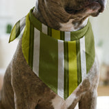Offset Stripes, Avocado Fabric