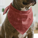 Interlock in Dusty Rose — interlock print, in brick coral over dusty red