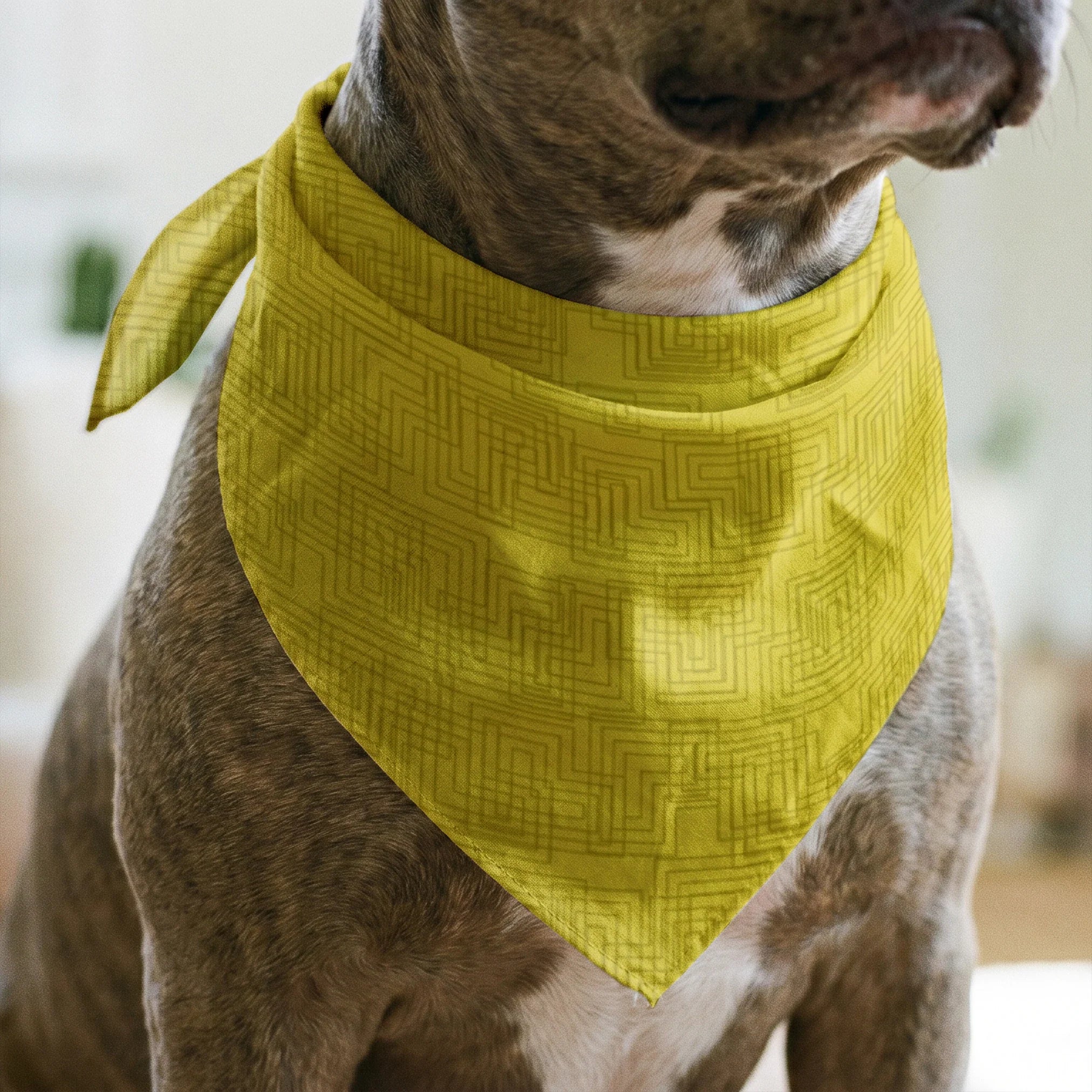 Interlock in Mustard — interlock print, in saturated mustard yellow