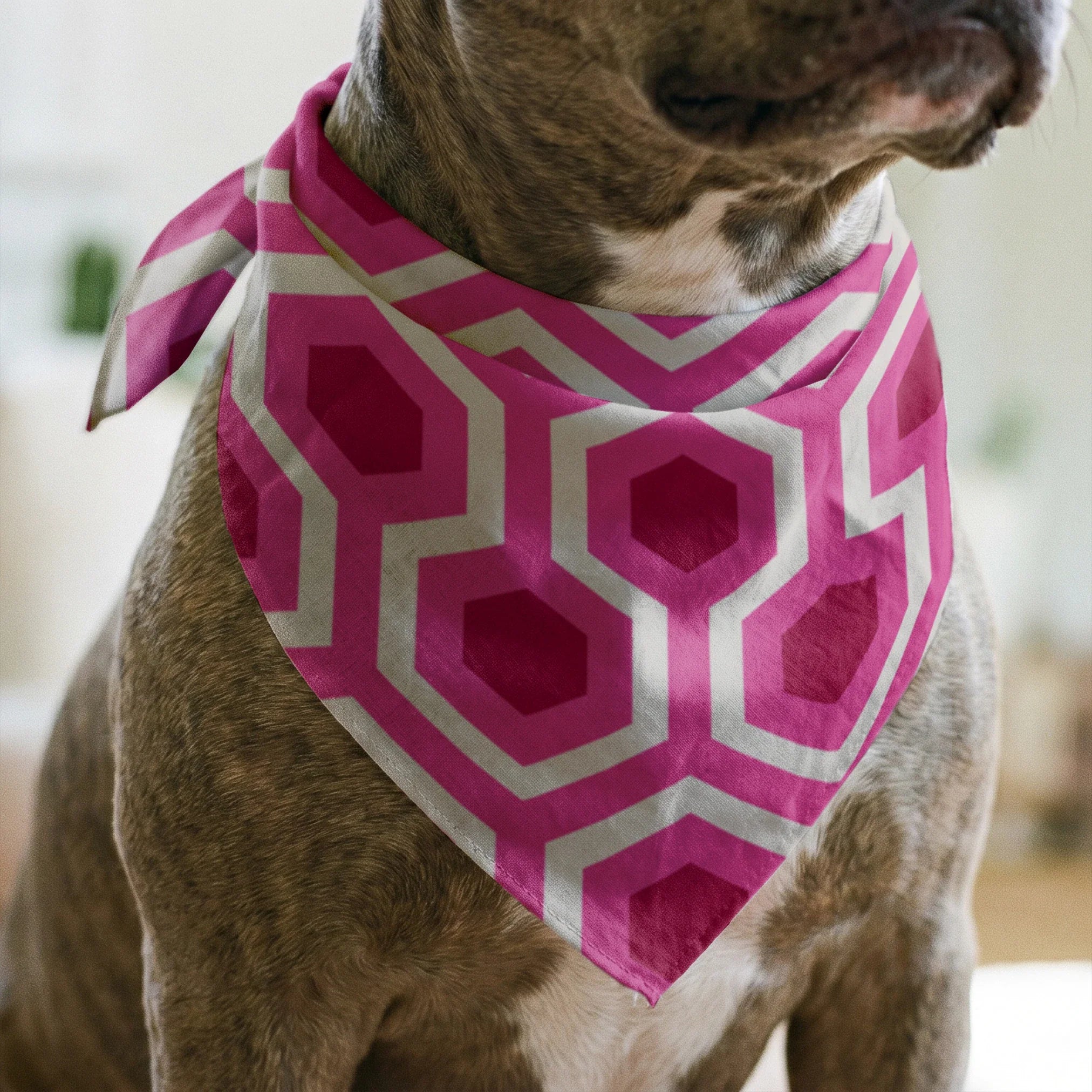 Hexacore, Raspberry Fabric