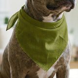 Interlock in Olive — interlock print, in deep tonal olive green