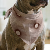 Retro Sunburst in Petal — retro sunburst print, in blush pink and warm peach around a soft dark center