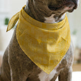 Interlock in Saffron — interlock print, in warm saffron gold
