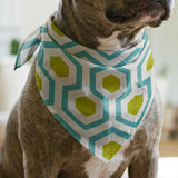 Hexacore in Teal — hexacore print, in turquoise and acid olive on warm ivory