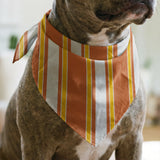Mod Stripes in Orange — mod stripes print, in bright orange and coral with a golden edge on ivory