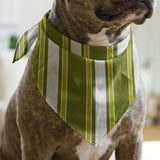 Mod Stripes in Avocado — mod stripes print, in avocado and olive with a chartreuse edge on ivory
