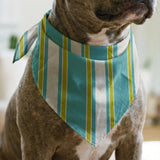 Mod Stripes, Teal Fabric