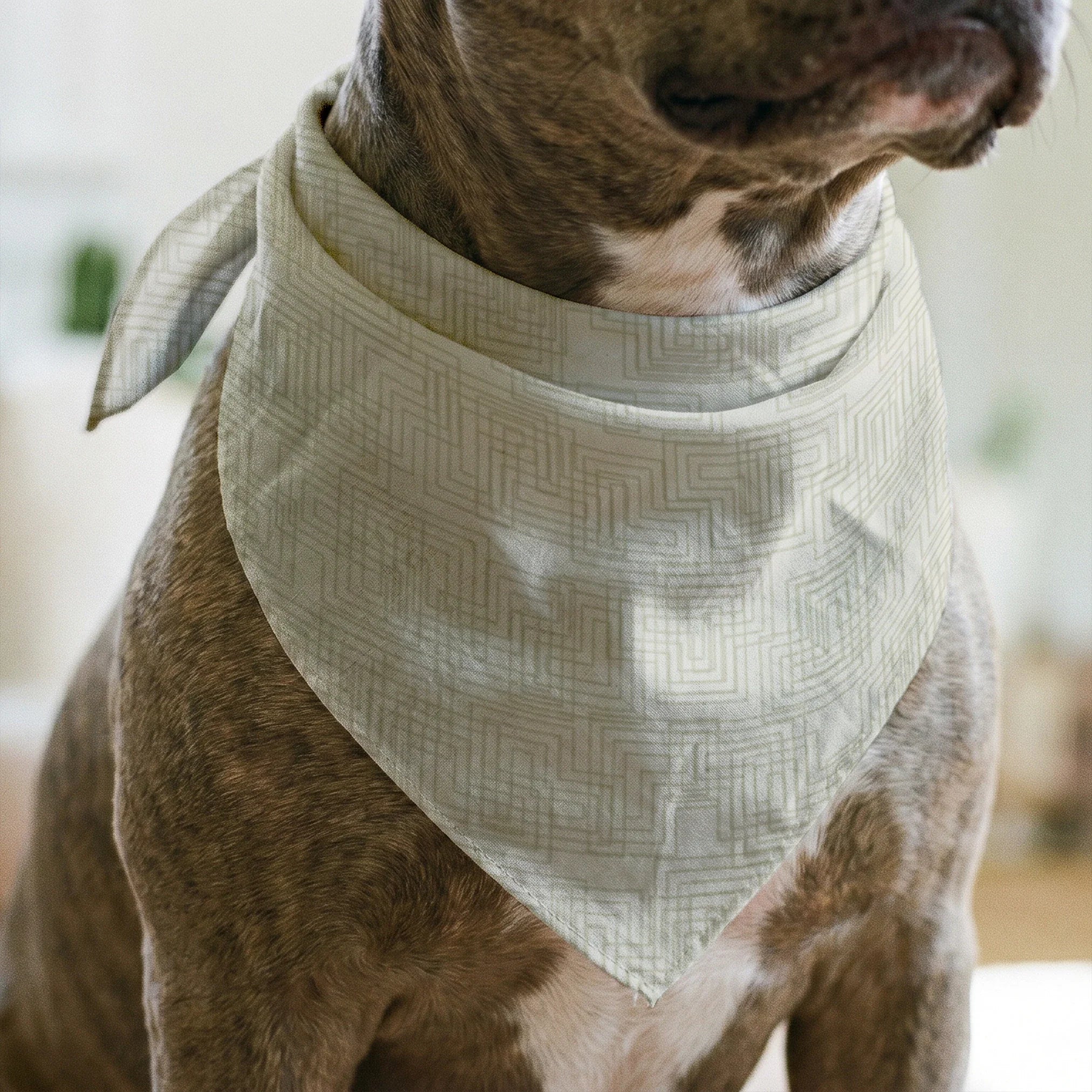 Interlock in Ivory — interlock print, in warm tonal ivory and cream