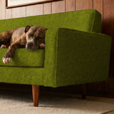 Interlock in Olive — interlock print, in deep tonal olive green