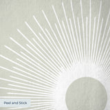 Retro Sunburst, Taupe Wallpaper