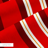 Offset Stripes in Firecracker — offset stripes print, in bright red and crimson separated by crisp white on charcoal